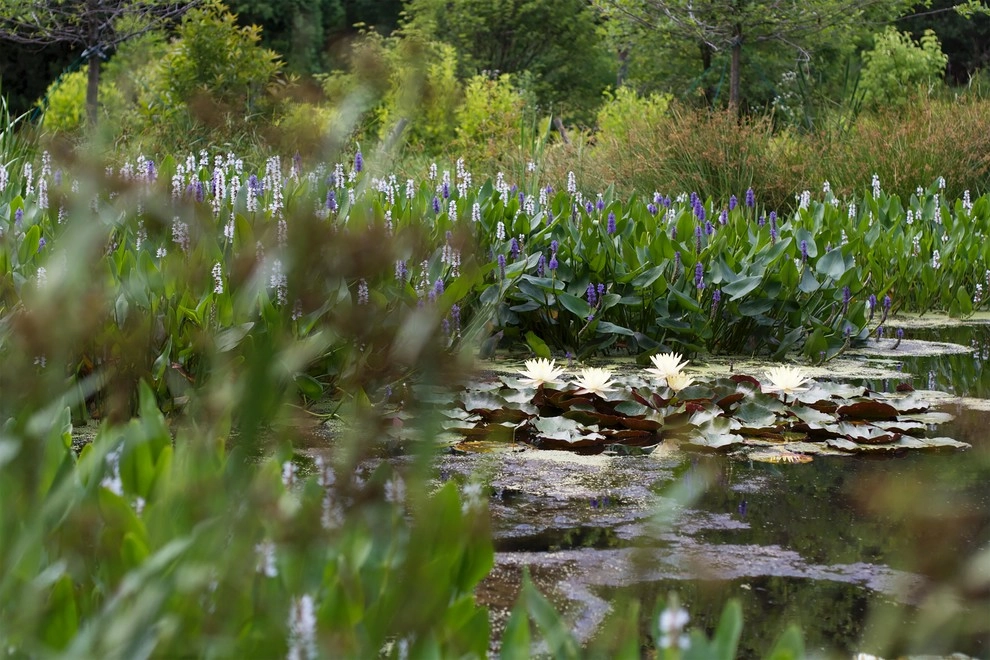 Warren Estate by Matthew Cunningham Landscape Design LLC - Photo 69