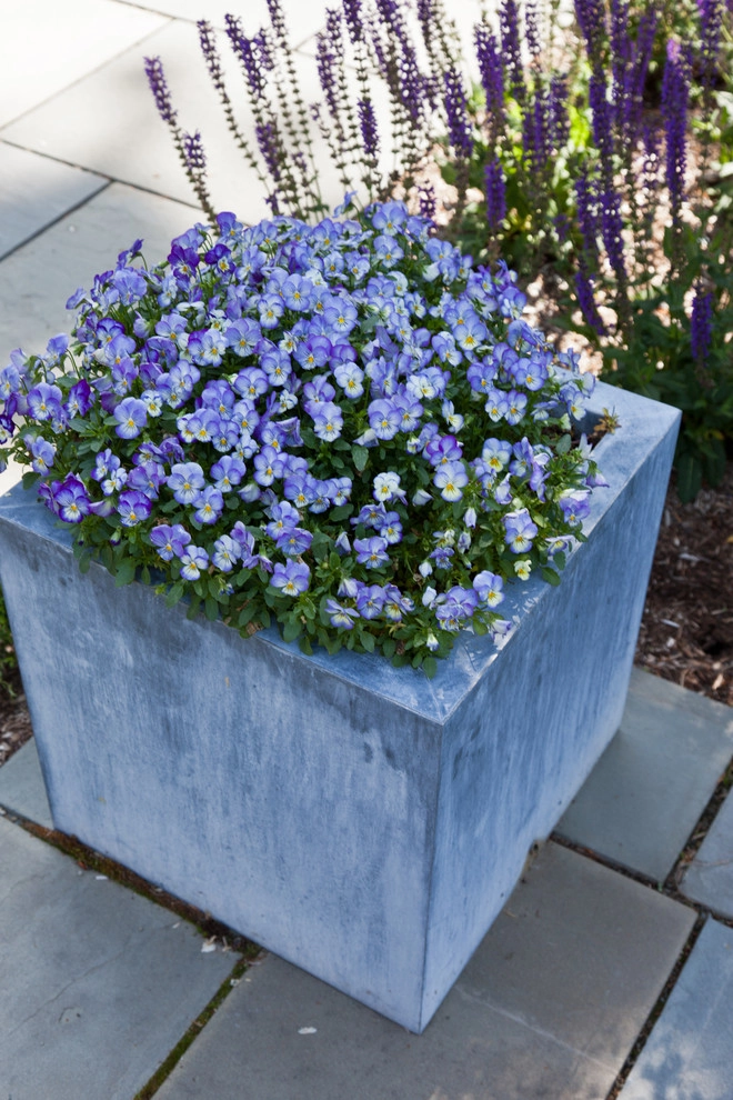 Warren Estate by Matthew Cunningham Landscape Design LLC - Photo 61