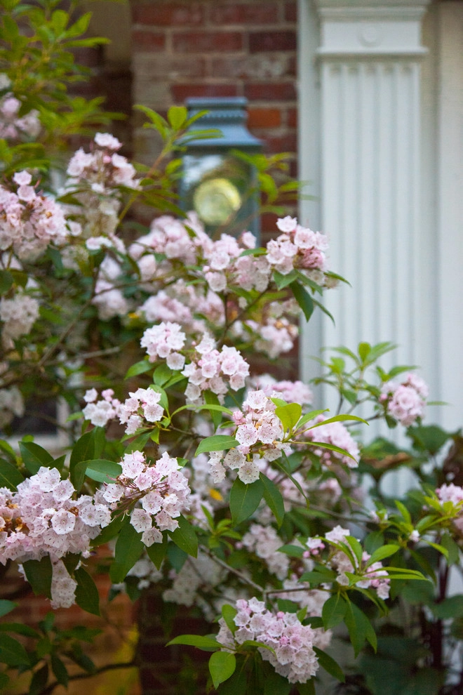 Warren Estate by Matthew Cunningham Landscape Design LLC - Photo 56