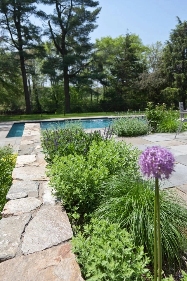 Charles River Garden by Matthew Cunningham Landscape Design LLC - Photo 22