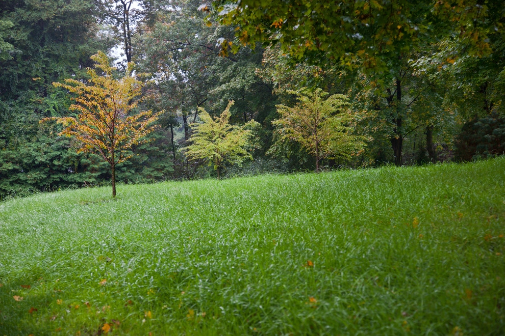 Beech Ledge by Matthew Cunningham Landscape Design LLC - Photo 52