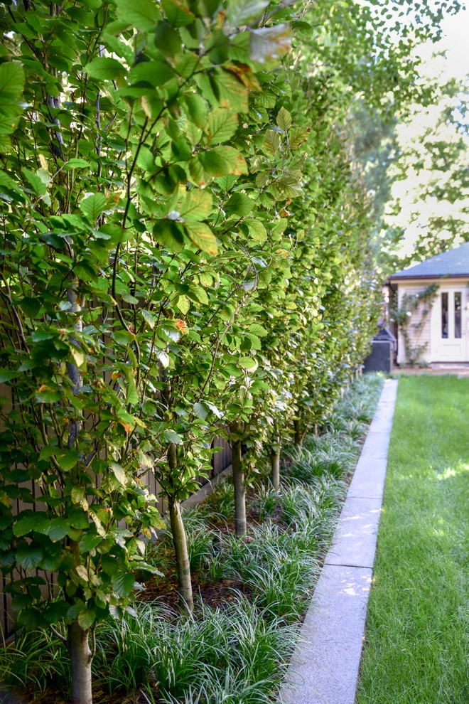 Brattle Street by Matthew Cunningham Landscape Design LLC - Photo 26