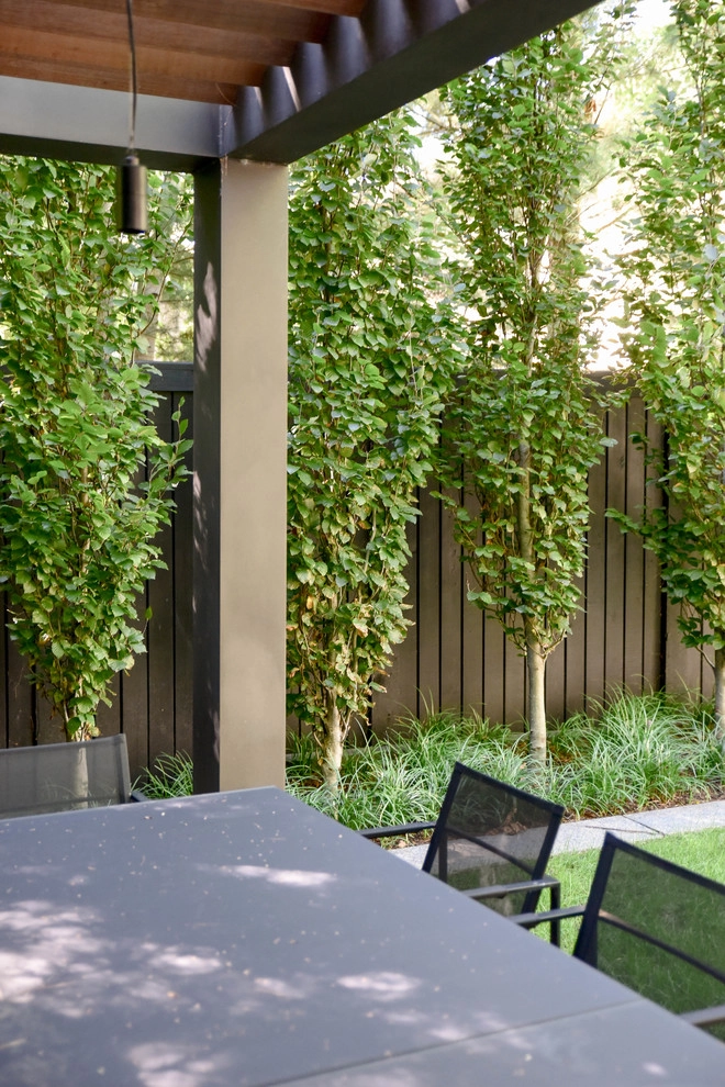 Brattle Street by Matthew Cunningham Landscape Design LLC - Photo 3