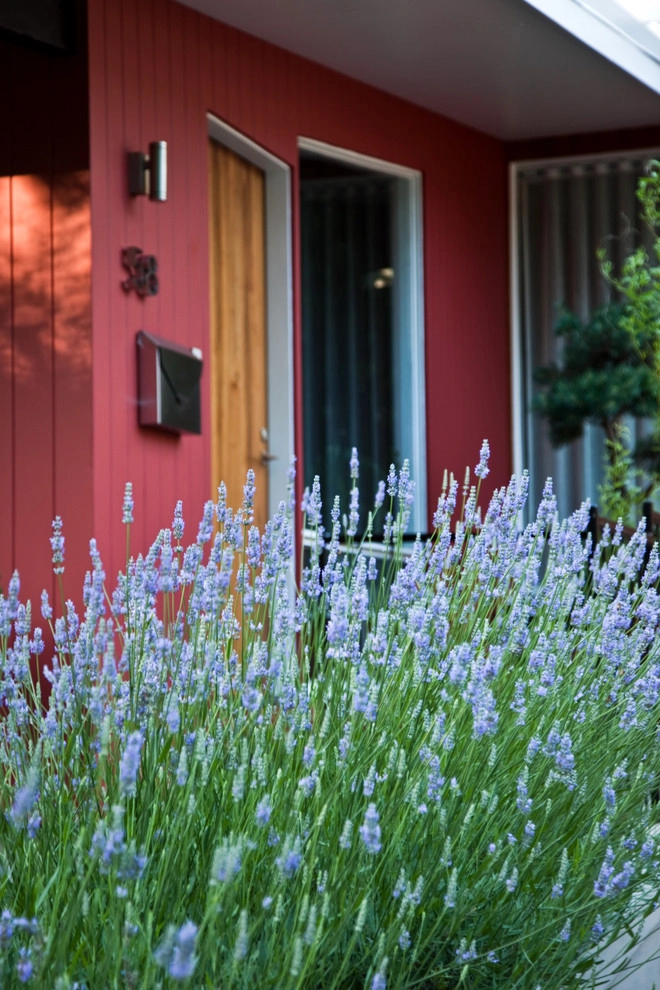 Hastings Lane by Matthew Cunningham Landscape Design LLC - Photo 27