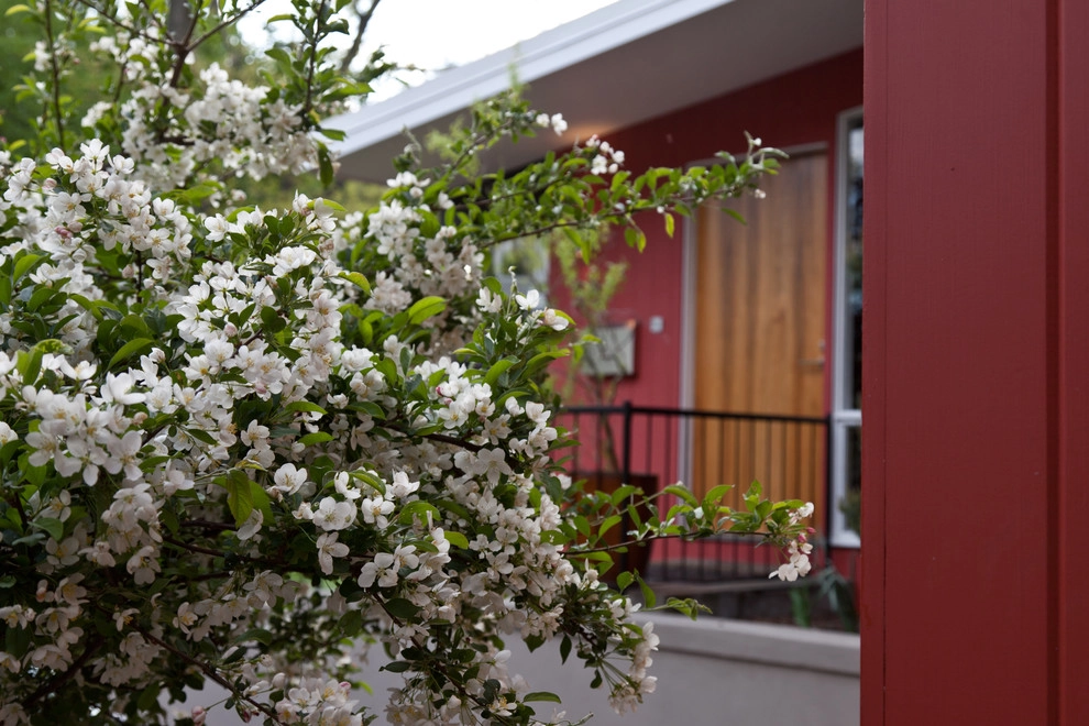 Hastings Lane by Matthew Cunningham Landscape Design LLC - Photo 49