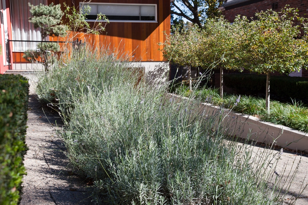 Hastings Lane by Matthew Cunningham Landscape Design LLC - Photo 53