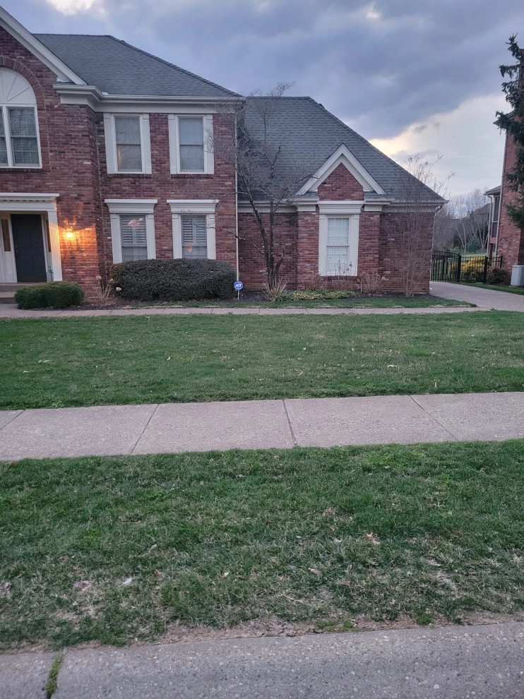 Alberto Alavez Professional Lawn Services LLC by Alberto Alavez Professional Lawn Services LLC - Photo 11