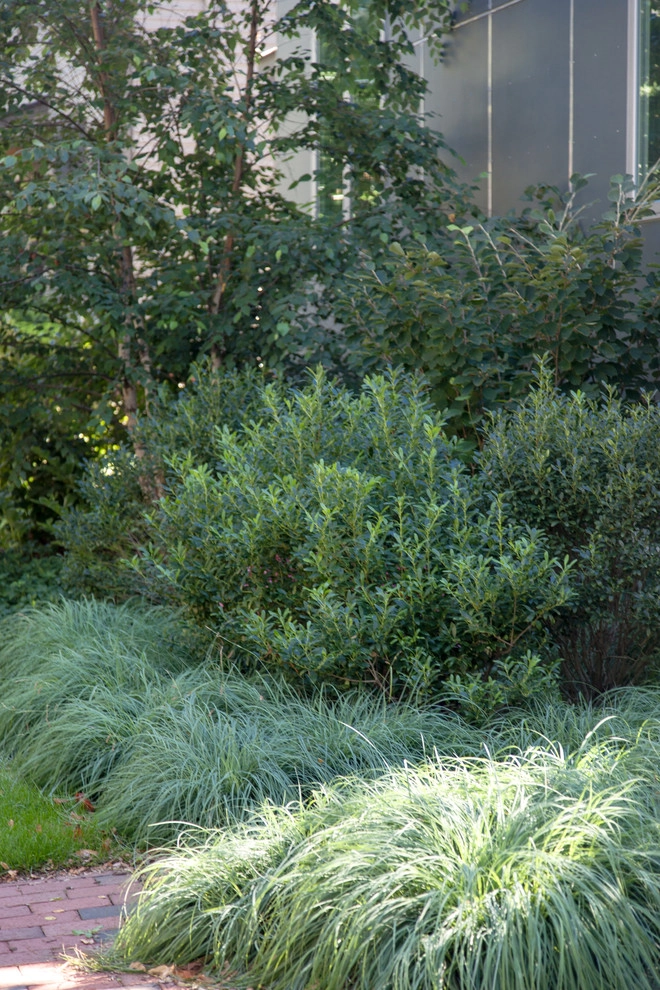 The Winslow Gardens by Matthew Cunningham Landscape Design LLC - Photo 40