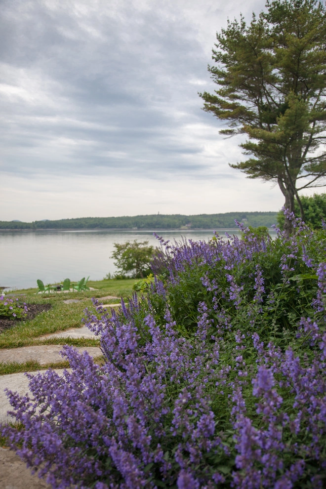 Clamshell Alley by Matthew Cunningham Landscape Design LLC - Photo 37