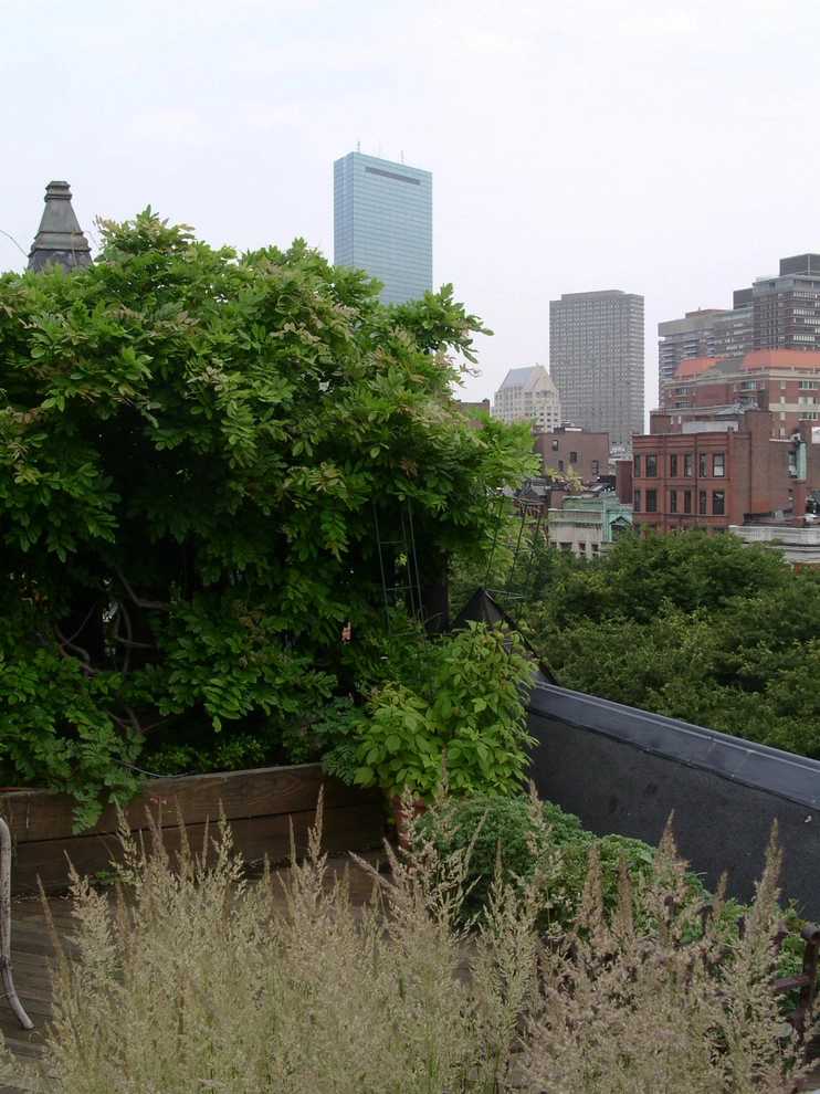 Commonwealth Avenue Rooftop by Matthew Cunningham Landscape Design LLC - Photo 11