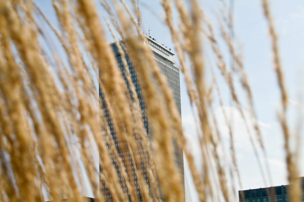 Commonwealth Avenue Rooftop by Matthew Cunningham Landscape Design LLC - Photo 30