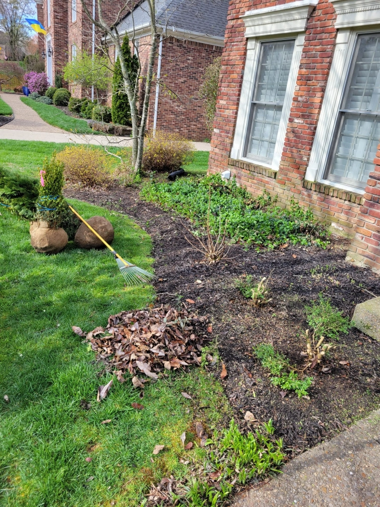 Alberto Alavez Professional Lawn Services LLC by Alberto Alavez Professional Lawn Services LLC - Photo 6