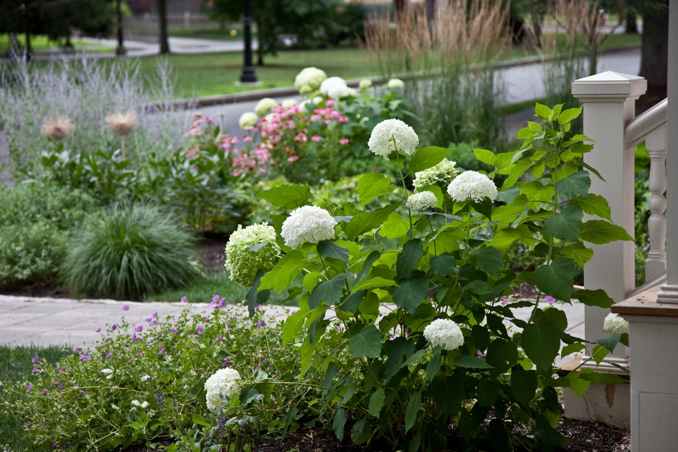 Washington Park by Matthew Cunningham Landscape Design LLC - Photo 17