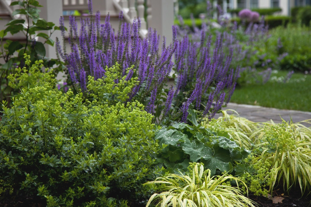 Washington Park by Matthew Cunningham Landscape Design LLC - Photo 15