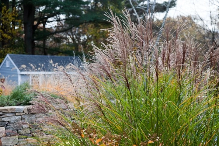Charles River Garden by Matthew Cunningham Landscape Design LLC - Photo 12
