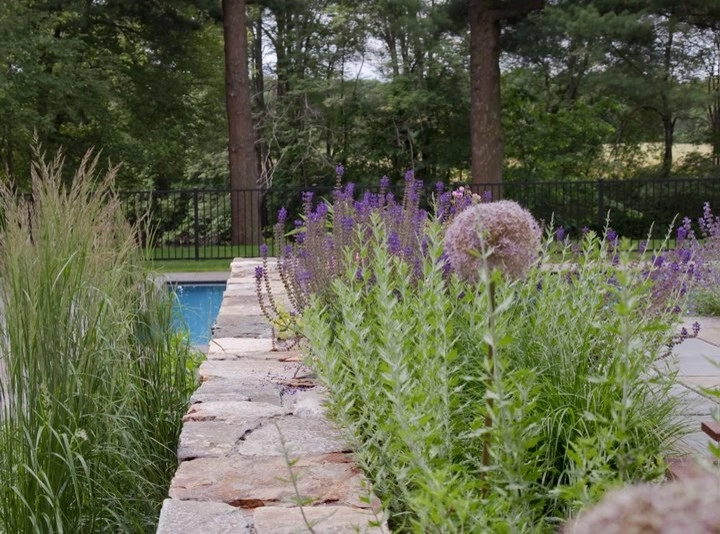 Charles River Garden by Matthew Cunningham Landscape Design LLC - Photo 7