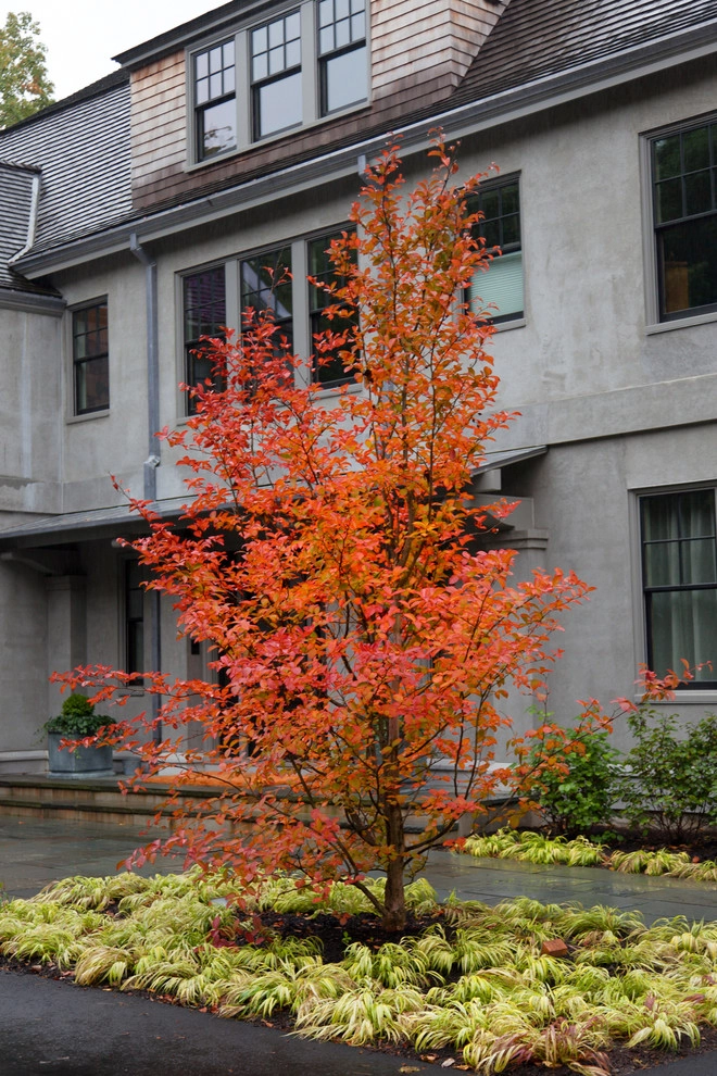 Beech Ledge by Matthew Cunningham Landscape Design LLC - Photo 3