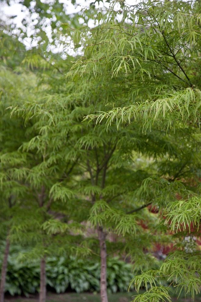 Hastings Lane by Matthew Cunningham Landscape Design LLC - Photo 54