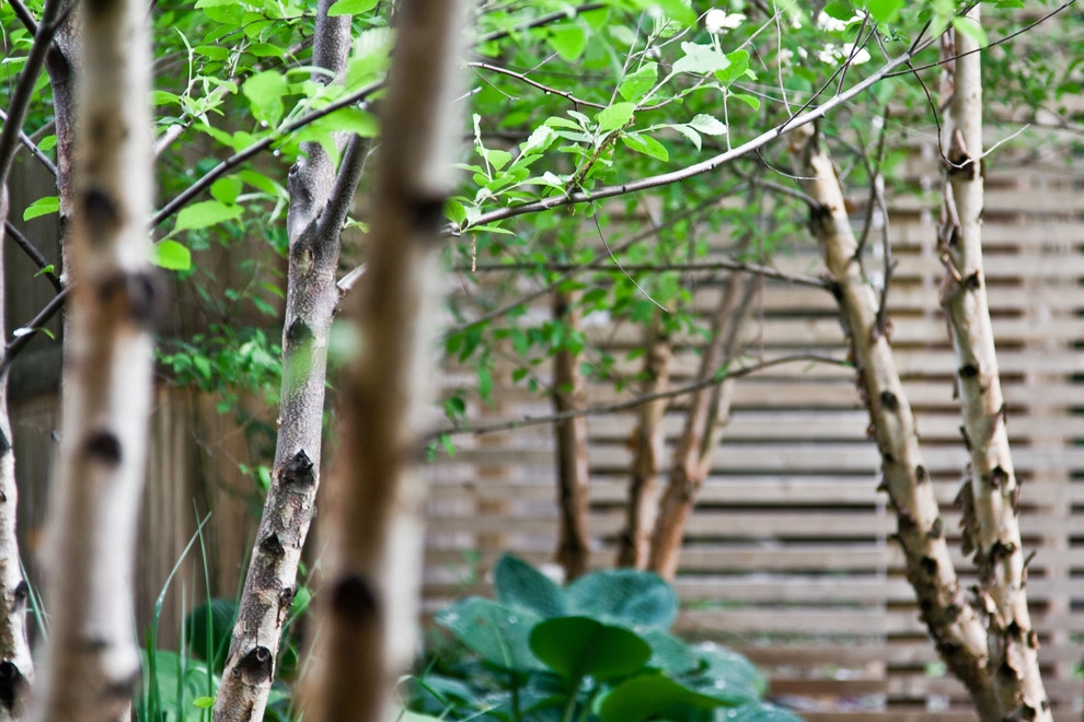 Hastings Lane by Matthew Cunningham Landscape Design LLC - Photo 22