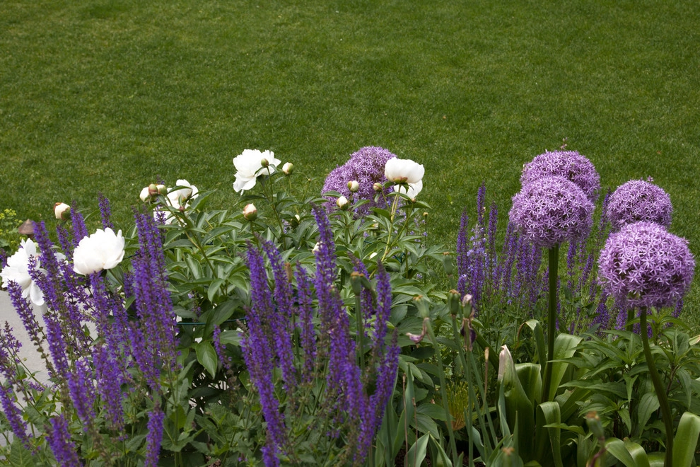 Lawrence Road by Matthew Cunningham Landscape Design LLC - Photo 16