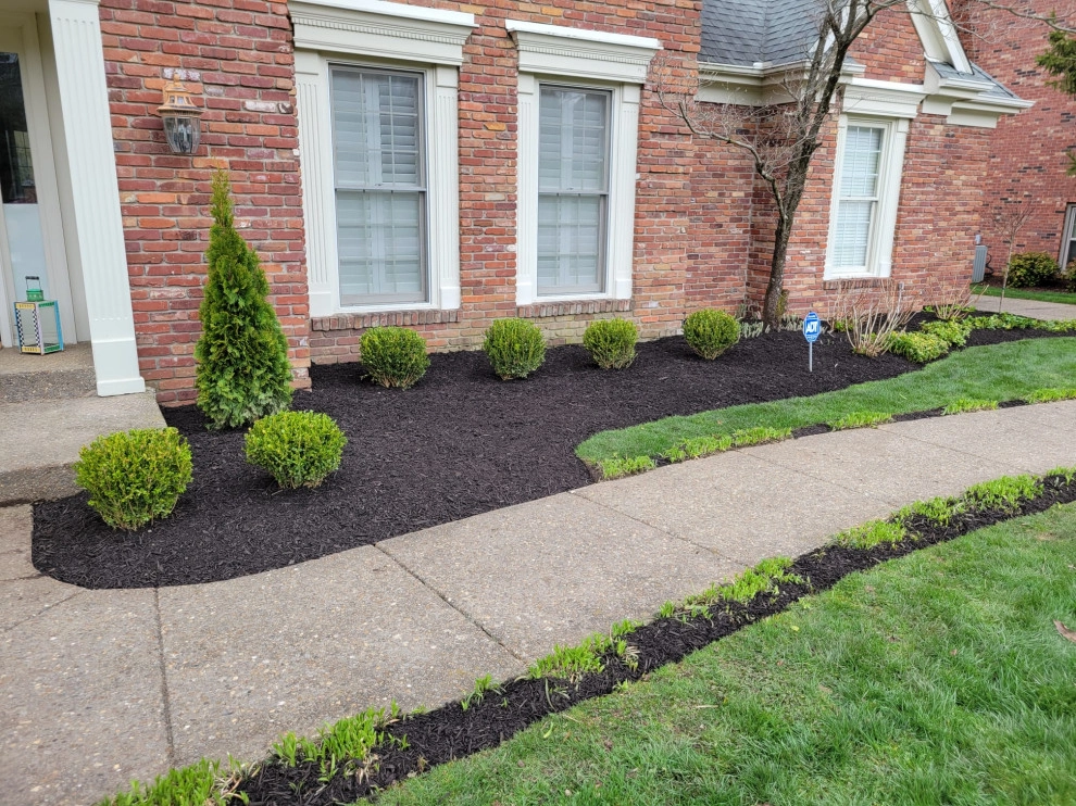 Alberto Alavez Professional Lawn Services LLC by Alberto Alavez Professional Lawn Services LLC - Photo 14