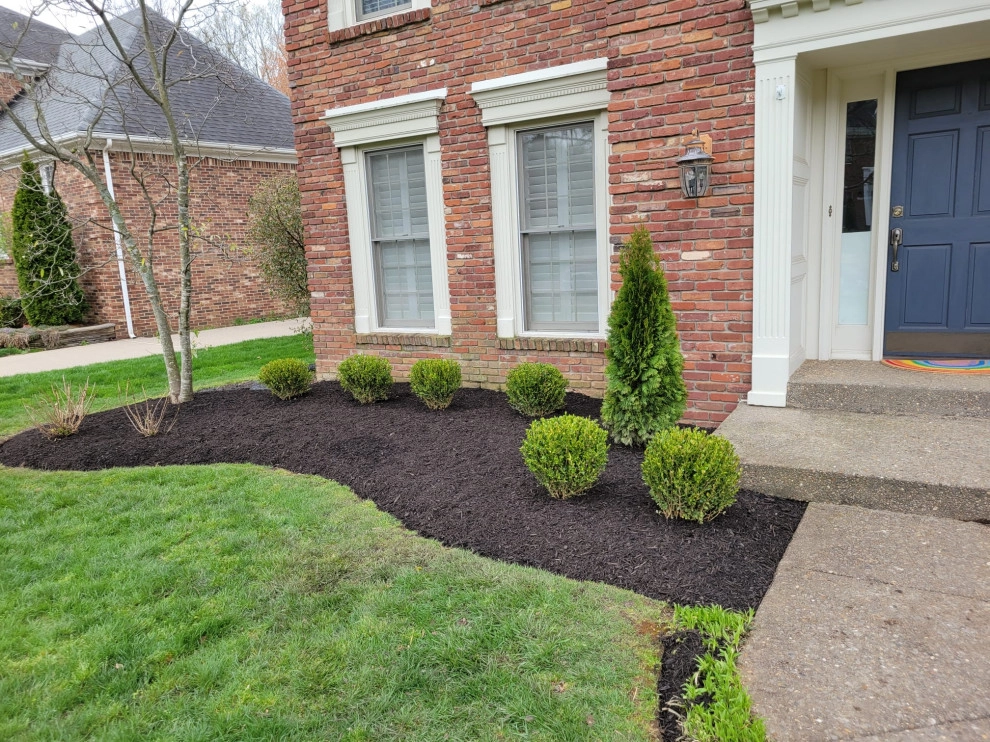 Alberto Alavez Professional Lawn Services LLC by Alberto Alavez Professional Lawn Services LLC - Photo 2