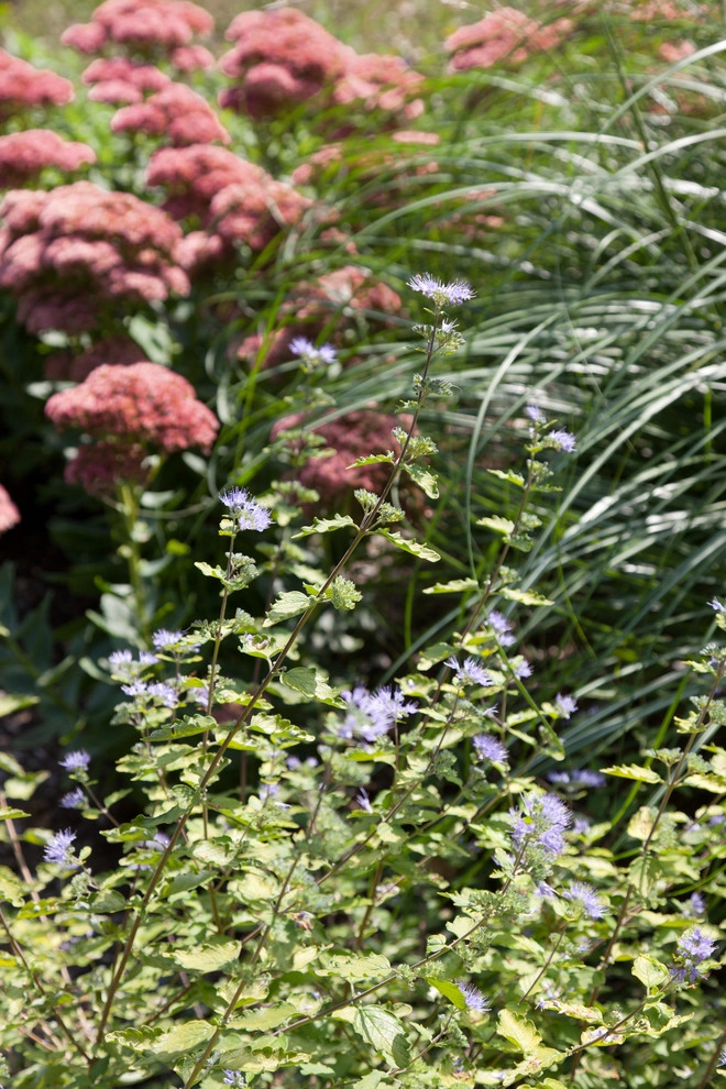 Claypit Hill Residence by Matthew Cunningham Landscape Design LLC - Photo 41
