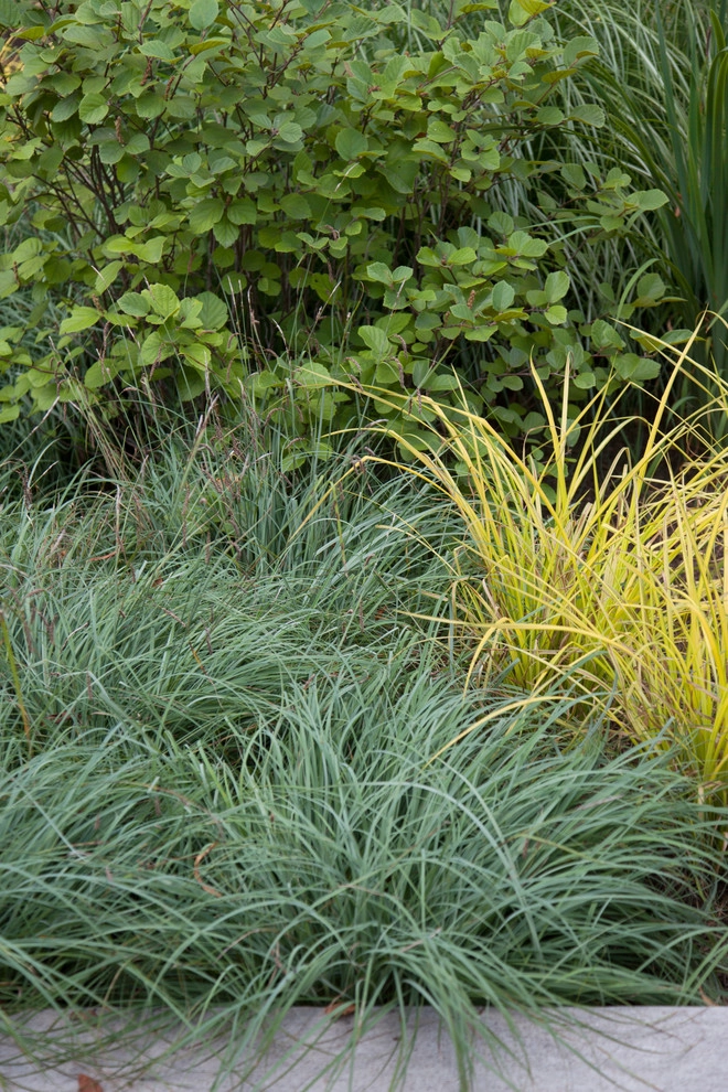 Longwood Garden by Matthew Cunningham Landscape Design LLC - Photo 16