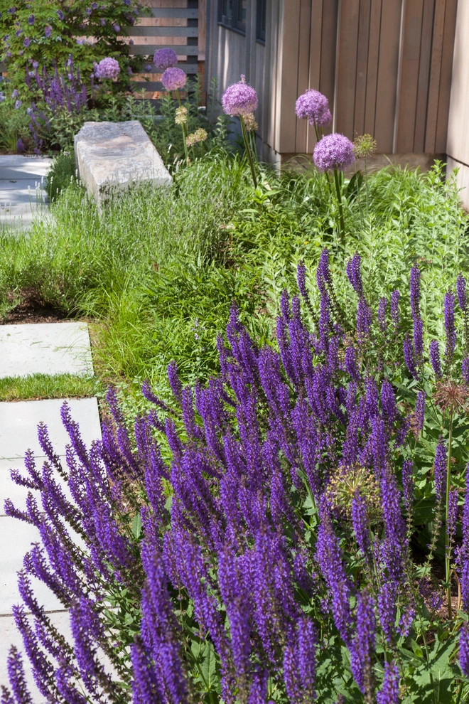 Longwood Garden by Matthew Cunningham Landscape Design LLC - Photo 49
