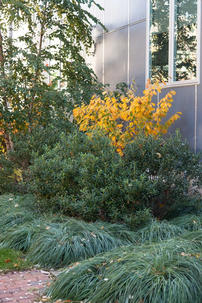 The Winslow Gardens by Matthew Cunningham Landscape Design LLC - Photo 29