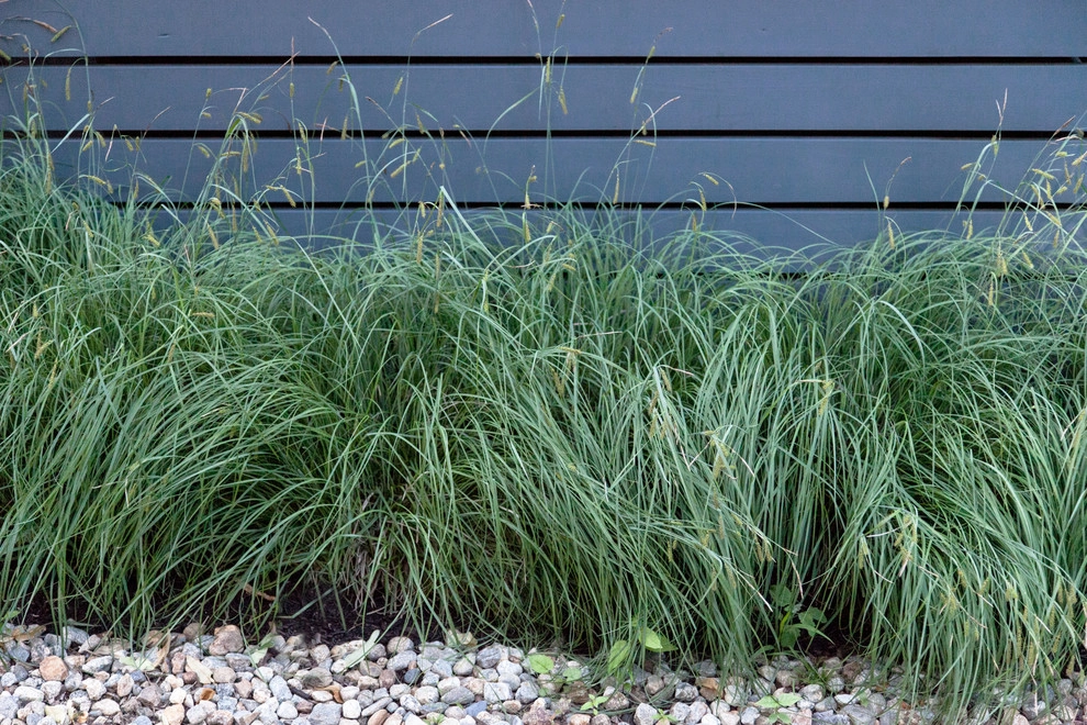 The Winslow Gardens by Matthew Cunningham Landscape Design LLC - Photo 37
