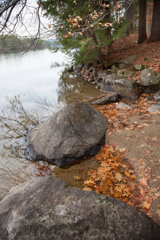 Dog Cove by Matthew Cunningham Landscape Design LLC - Photo 17