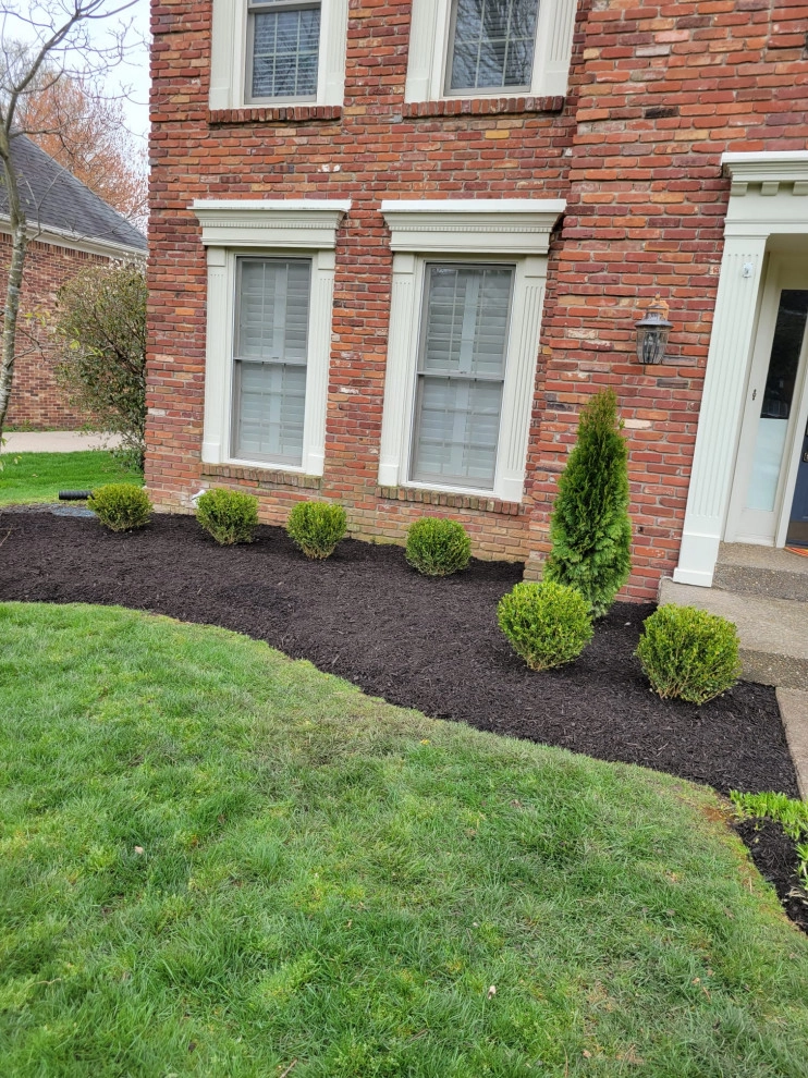 Alberto Alavez Professional Lawn Services LLC by Alberto Alavez Professional Lawn Services LLC - Photo 13