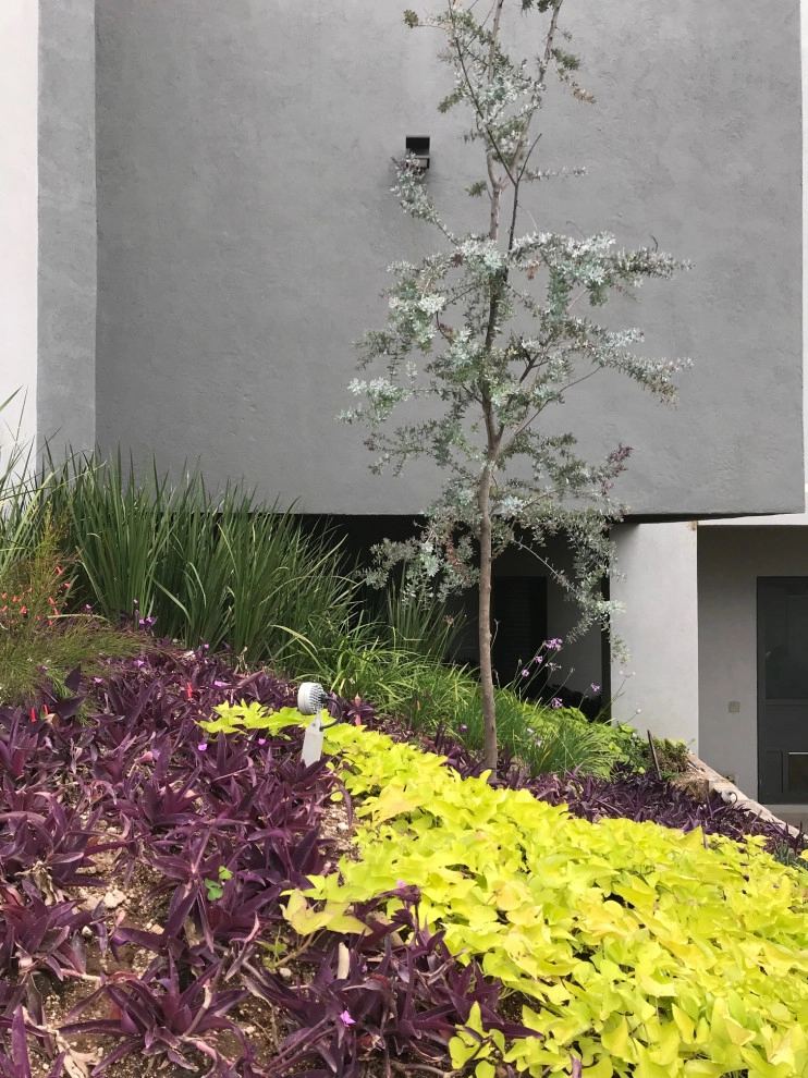 CASA D by Aveille Landscape - Photo 3