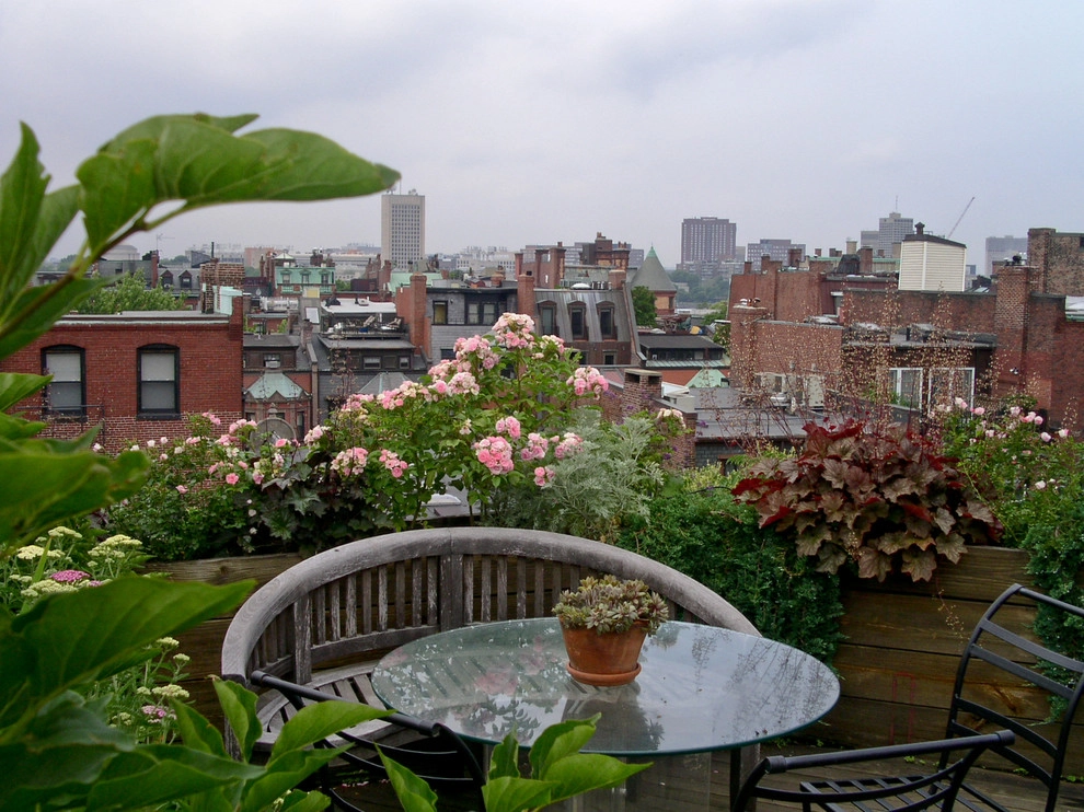 Commonwealth Avenue Rooftop by Matthew Cunningham Landscape Design LLC - Photo 56
