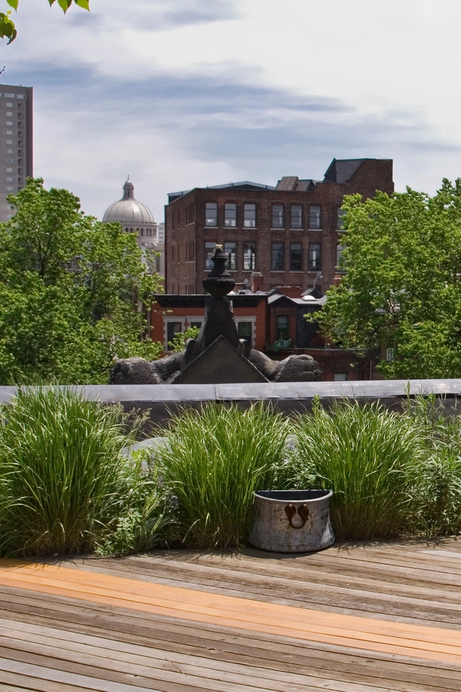 Commonwealth Avenue Rooftop by Matthew Cunningham Landscape Design LLC - Photo 22