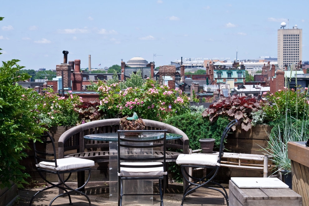 Commonwealth Avenue Rooftop by Matthew Cunningham Landscape Design LLC - Photo 10