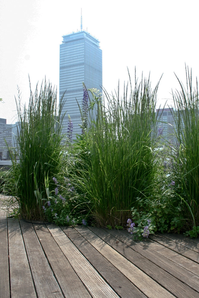 Commonwealth Avenue Rooftop by Matthew Cunningham Landscape Design LLC - Photo 42