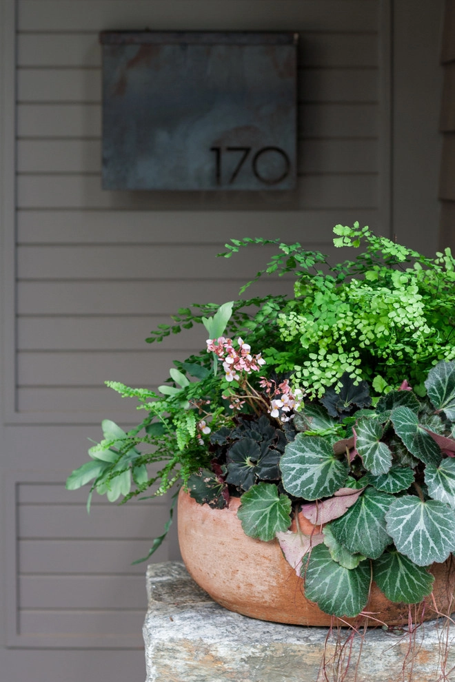 Waban Hillside by Matthew Cunningham Landscape Design LLC - Photo 52