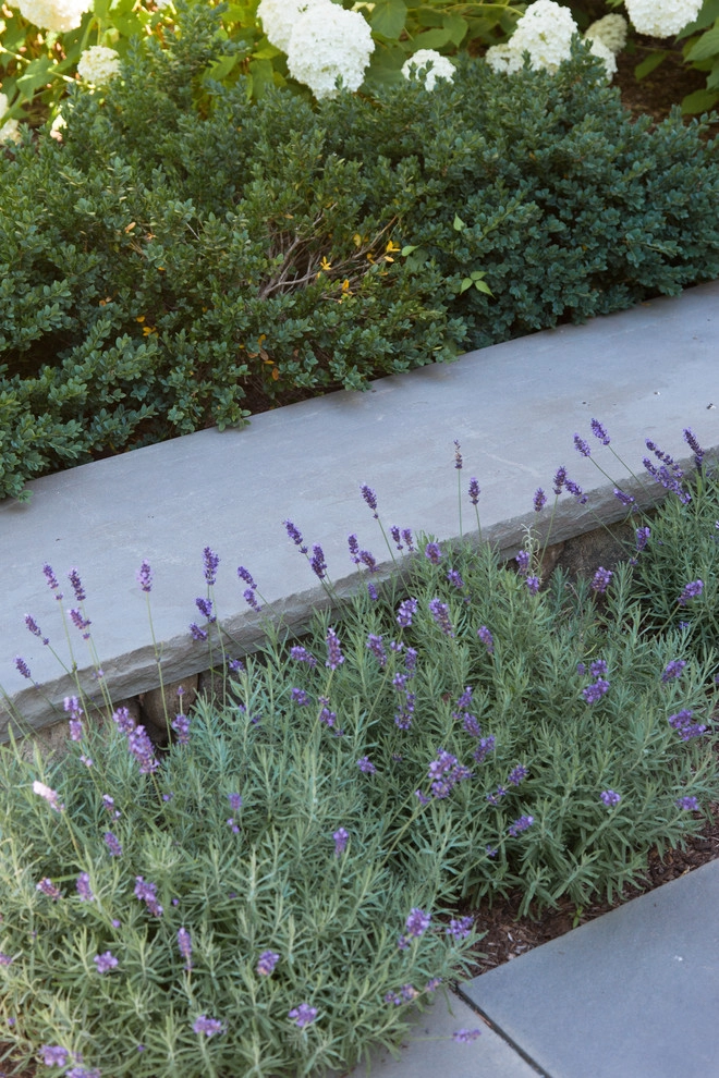 Warren Estate by Matthew Cunningham Landscape Design LLC - Photo 77