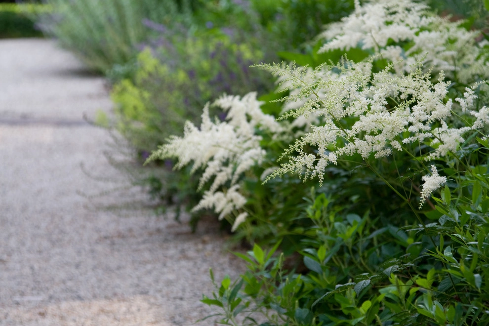 Belmont Hill Residence by Matthew Cunningham Landscape Design LLC - Photo 8