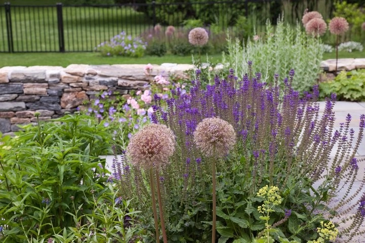 Charles River Garden by Matthew Cunningham Landscape Design LLC - Photo 26