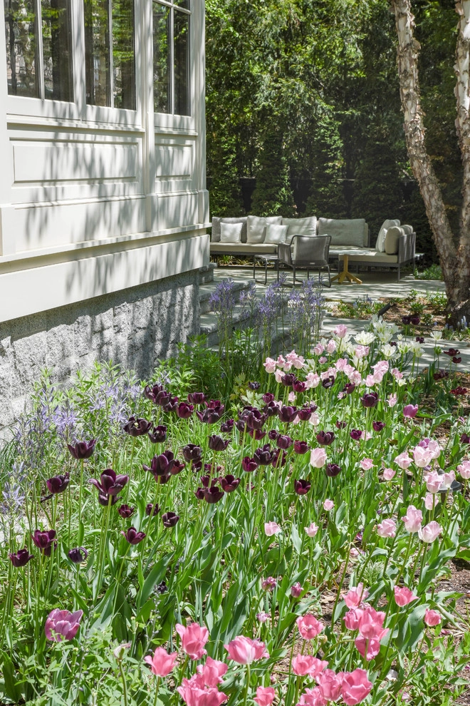 Brattle Street by Matthew Cunningham Landscape Design LLC - Photo 11