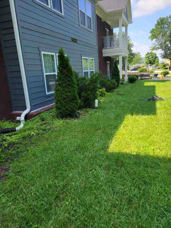 Alberto Alavez Professional Lawn Services LLC 3 by Alberto Alavez Professional Lawn Services LLC - Photo 83