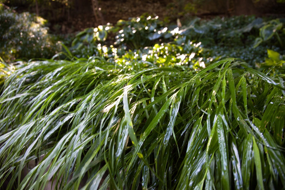 Hastings Lane by Matthew Cunningham Landscape Design LLC - Photo 56