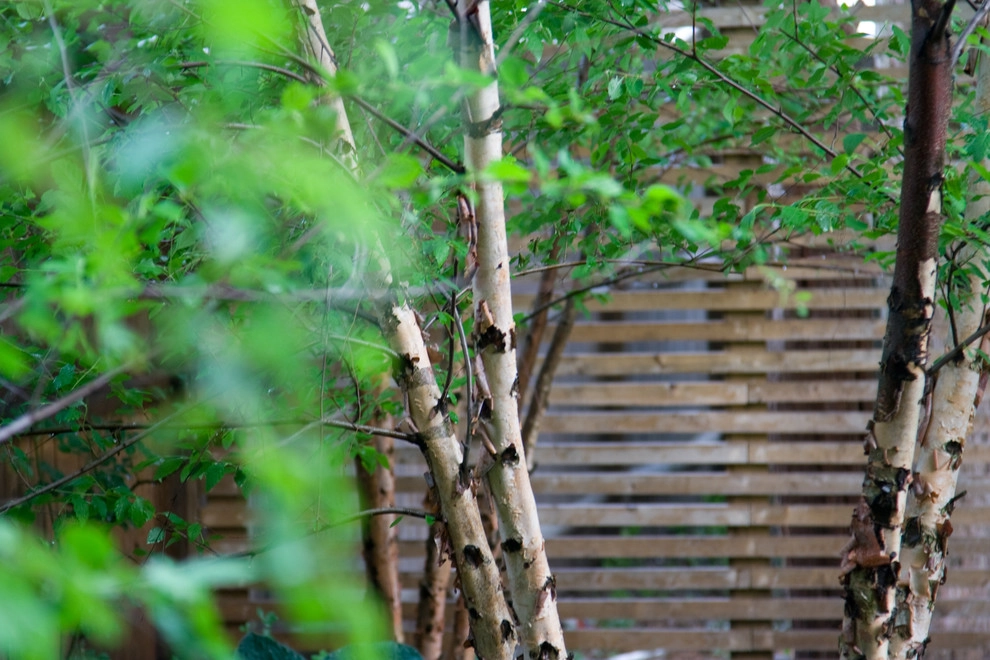 Hastings Lane by Matthew Cunningham Landscape Design LLC - Photo 23
