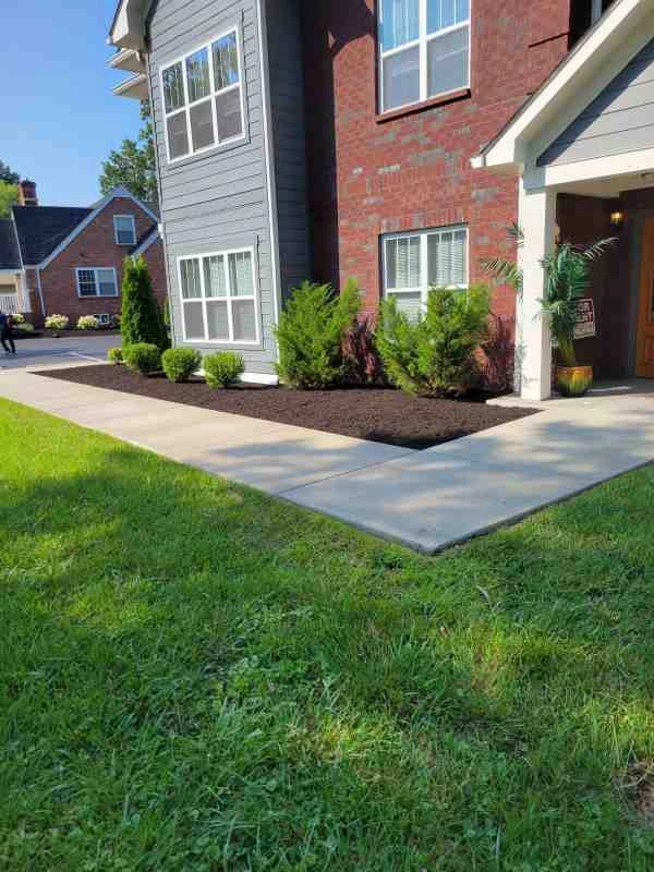 Alberto Alavez Professional Lawn Services LLC 3 by Alberto Alavez Professional Lawn Services LLC - Photo 23