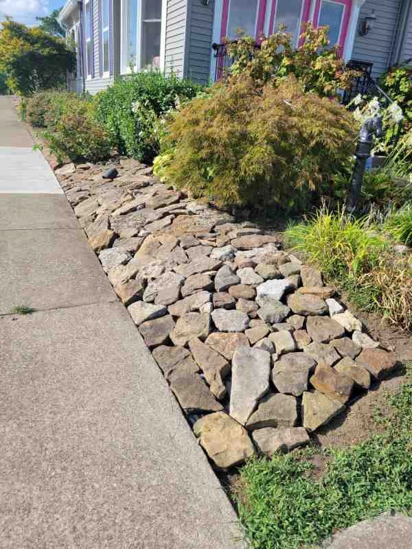Alberto Alavez Professional Lawn Services LLC 3 by Alberto Alavez Professional Lawn Services LLC - Photo 61