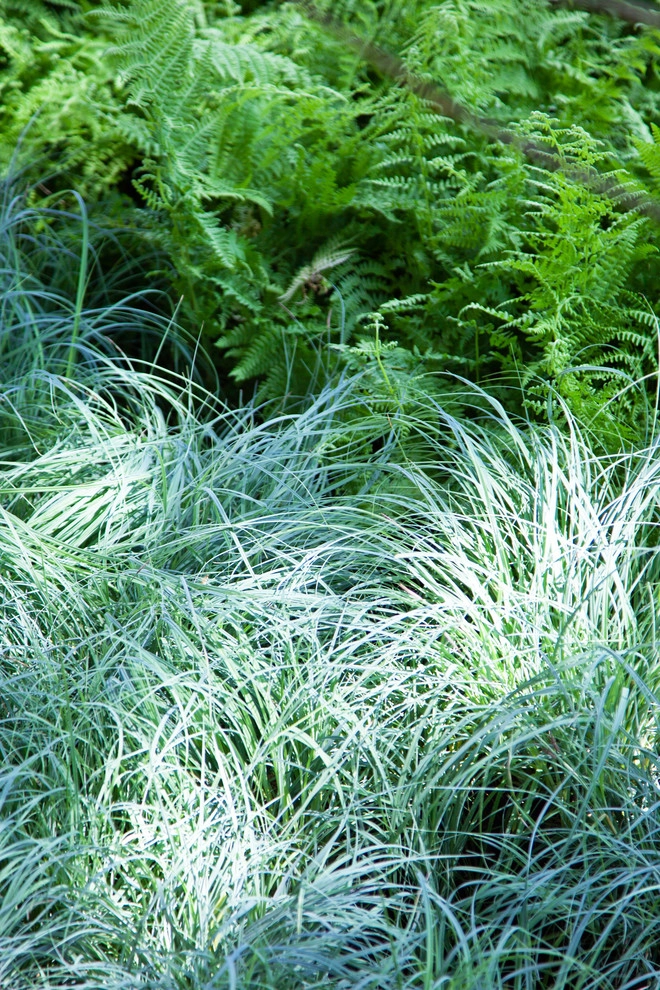 Longwood Garden by Matthew Cunningham Landscape Design LLC - Photo 11