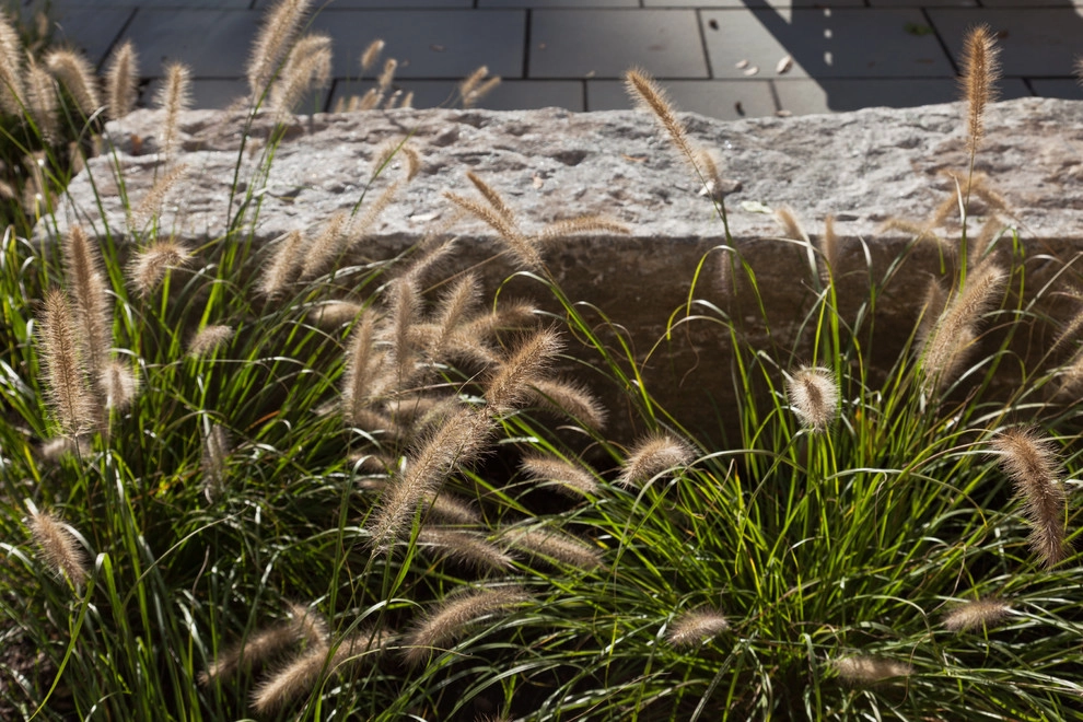 Longwood Garden by Matthew Cunningham Landscape Design LLC - Photo 60